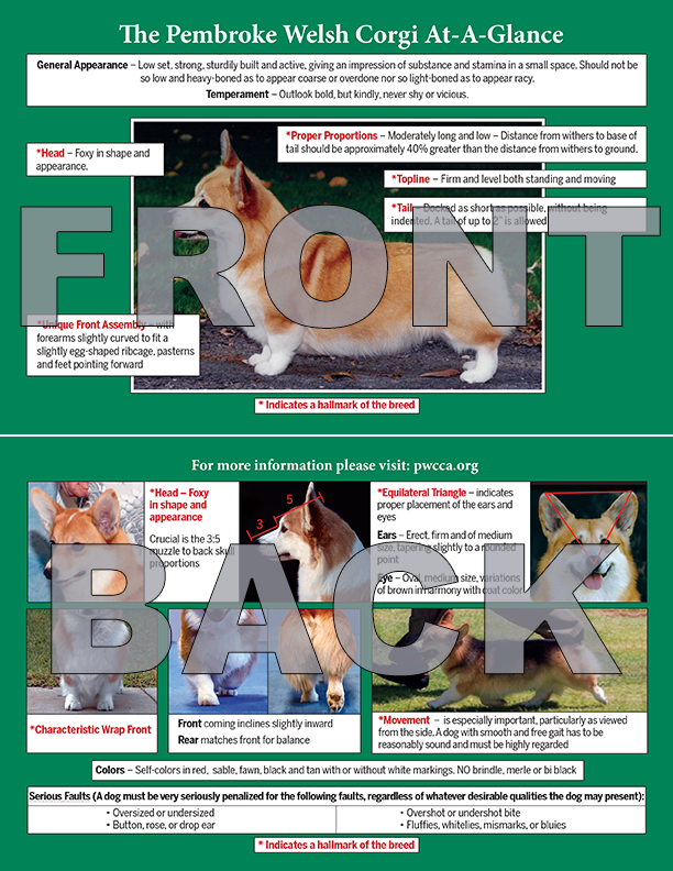 EDU: Judges Education Quick Study Guide