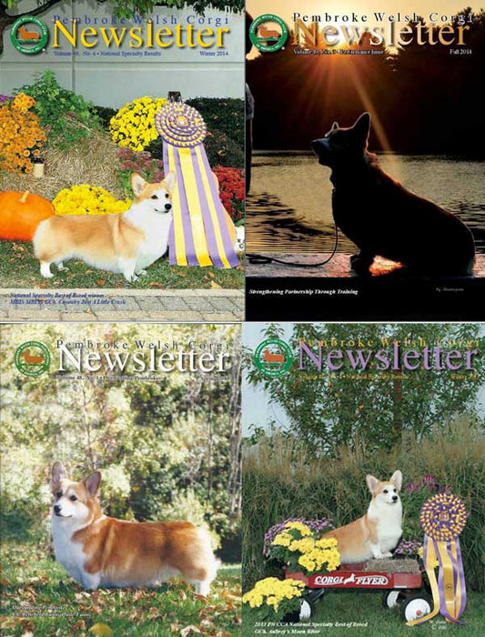PUB: New Newsletter Subscriptions May 16 -Aug 15 (Partial Year - 2 Issue)