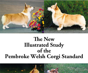PUB: New Illustrated PWC Standard